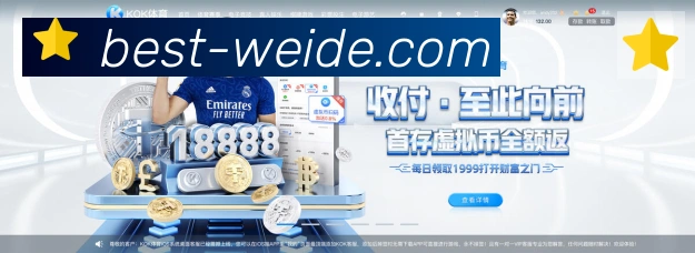 企业概况